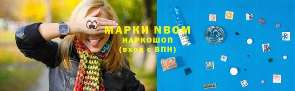 прущие крисы Белокуриха