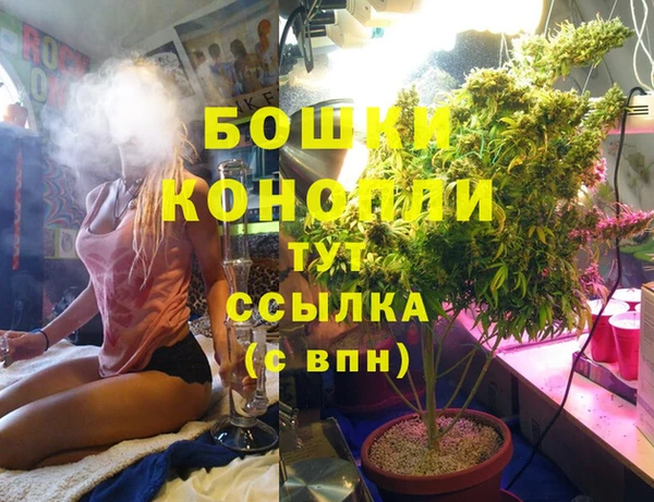 прущие крисы Белокуриха