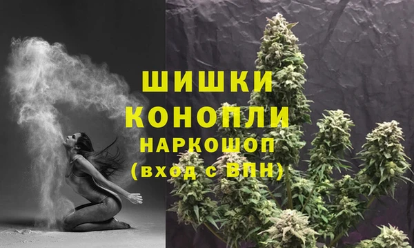 прущие крисы Белокуриха