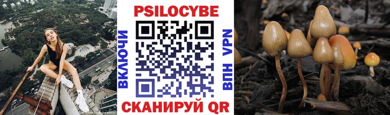 mega ссылки  Отрадная  Псилоцибиновые грибы прущие грибы 
